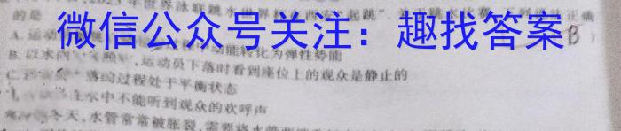 文博志鸿 2023年河北省初中毕业生升学文化课模拟考试(冲刺一)l物理