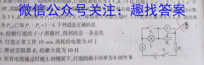 2023年高考真题（上海卷）数学试卷（PDF版）.物理