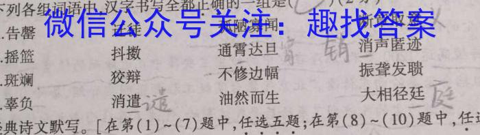 百校联盟2024届TOP300尖子生联考(2023年6月联考)高二语文