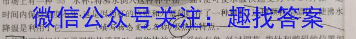 陕西省咸阳市兴平市2022-2023学年度七年级第二学期期末质量监测f物理