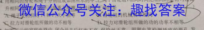 安师联盟 2023年中考安心卷z物理