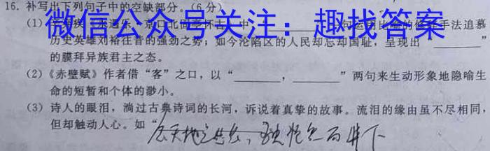 陕西省2023年九年级模拟检测卷B（正方形套菱形）语文