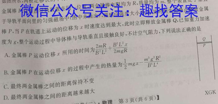 2023年全国普通高等学校统一招生考试 考前检测试卷(新高考)(一)1z物理