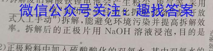 安徽省2024-2023学年度八年级第二学期期末素养评估（汇文中学，汇文学校）化学