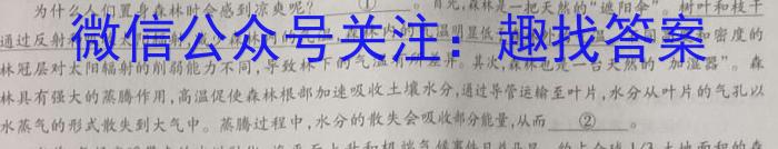 天一大联考2024-2023学年高三考前定位考试语文