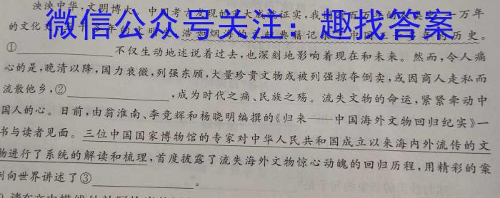 河南省洛阳创新发展联盟2024届高三阶段性检测(23-583C)语文