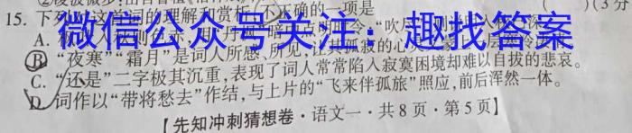 天一大联考·皖豫名校联盟2022-2023学年(下)高二年级阶段性测试(四)语文