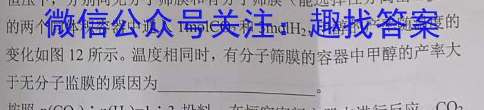 2023届安徽省中考联盟压轴卷(三个黑三角)化学