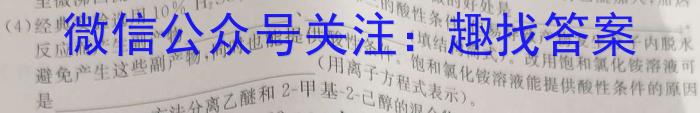 文博志鸿 2023年河南省普通高中招生考试模拟试卷(预测一)化学