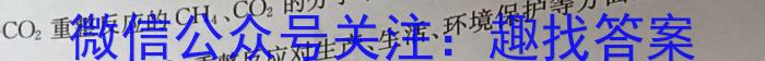 天一大联考 2022-2023学年第二学期高一期末调研考试化学