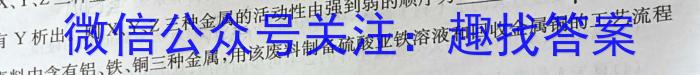 江西省2022~2023学年度八年级下学期期末综合评估 8L R-JX化学