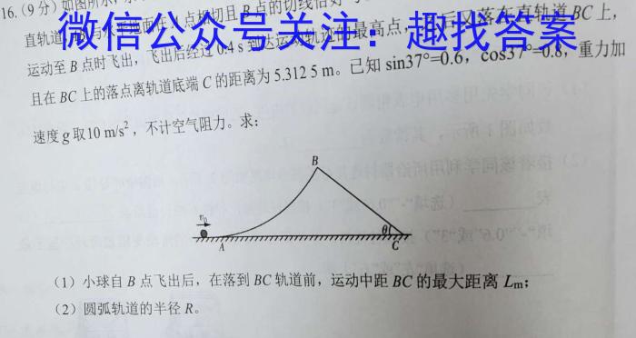 文博志鸿 2023年河北省初中毕业生升学文化课模拟考试(押题卷)物理`