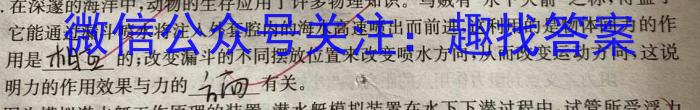 2022-2023学年湖南省高二试卷7月联考(23-573B)物理`