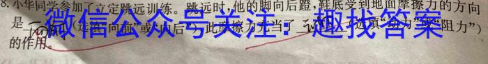 安徽省淮南市2022-2023学年度第二学期八年级期末质量检测物理`