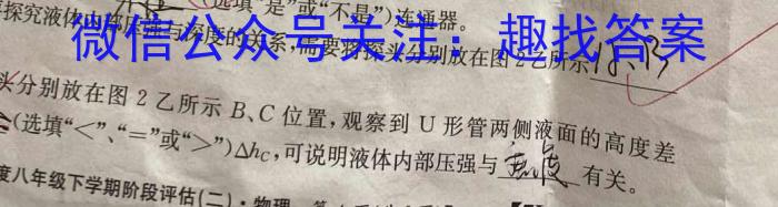 2023年河北省初中毕业生升学文化课考试 中考母题密卷(二)q物理