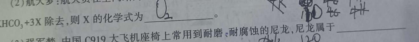 2023年陕西省初中学业水平考试（F）化学