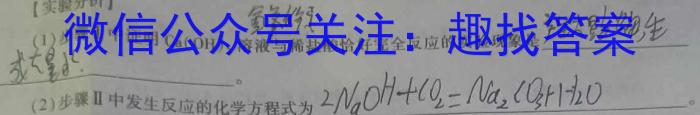 2023年中考导向预测信息试卷(临门B卷)化学