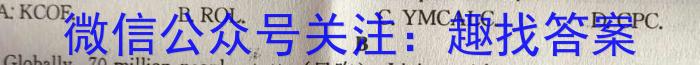 安徽省芜湖市弋江区2024-2023学年度八年级第二学期期末评价英语