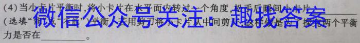 德化县2024-2023学年度九年级下学期期中综合评估(23-CZ185c)q物理