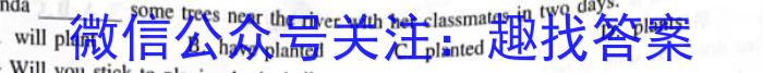 河南省洛阳创新发展联盟2024届高三阶段性检测(23-583C)英语