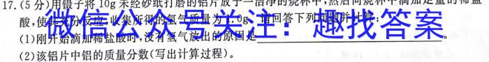 非凡吉创 2024 -2023下学年高三年级TOP二十名校猜题大联考(233623D)(二)化学