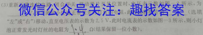 文博志鸿 2023年河南省普通高中招生考试模拟试卷(冲刺三)l物理