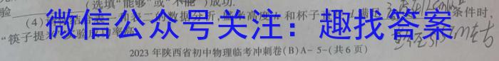 2023届全国百万联考老高考高三5月联考(6002C)q物理
