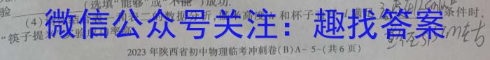 浙江省新阵地教育联盟2024届高二年级下学期第一次联考物理`