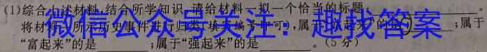 四川省宜宾市叙州区第一中学校2023年春期高二期末考试政治~