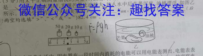 合肥一中2023届高三最后一卷(2023.5)物理`