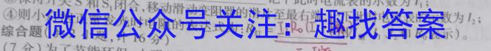 安徽省2022-2023学年度八年级第二学期期末质量检测试题（23-CZ226b）l物理