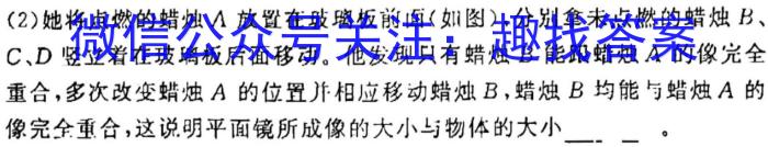 2022~2023学年(下)河南省高一6月“双新”大联考.物理