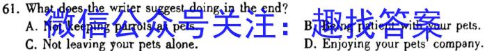 2022-2023学年安徽省九年级教学质量检测（八）英语