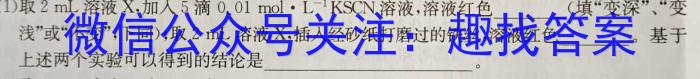 2024年高考单科模拟信息卷(一)化学