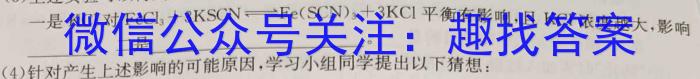 陕西省2023年九年级教学质量检测B（☆五角星）化学