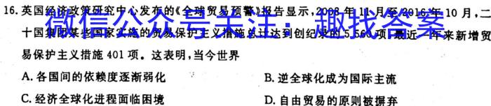 湖南省岳阳市岳阳县第一中学2022-2023学年高二下学期期末考试政治~