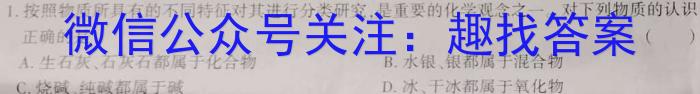 江西省2025届七年级《学业测评》分段训练（八）化学