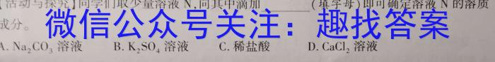 安徽省2023年八年级同步达标自主练习（期末）化学