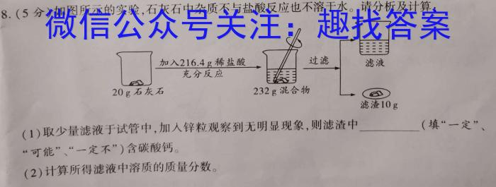 江西省2024届八年级《学业测评》分段训练（八）化学