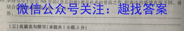 文博志鸿 2023年河南省普通高中招生考试模拟试卷(预测一)语文