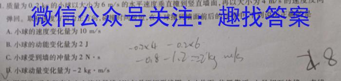 岳阳市2023年高二教学质量监测(6月)q物理