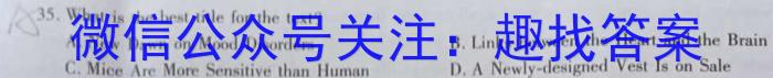 文博志鸿 2023年河南省普通高中招生考试模拟试卷(密卷一)英语