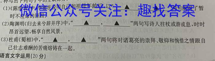 庐江县2022-2023学年度高二年级第二学期期末教学质量抽测语文