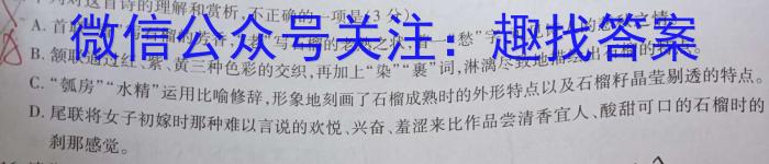 陕西省2023年高一年级期末测试卷（✿）语文