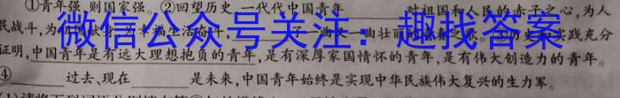 2023年邵阳市第二中学高三年级下学期高考全真模拟考试语文