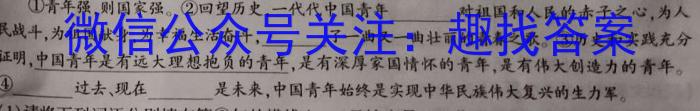 安徽省2022-2023学年度七年级下期末监测（6月）语文