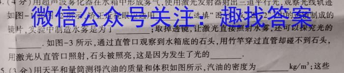 文博志鸿 2023年河南省普通高中招生考试模拟试卷(信息卷一)物理`