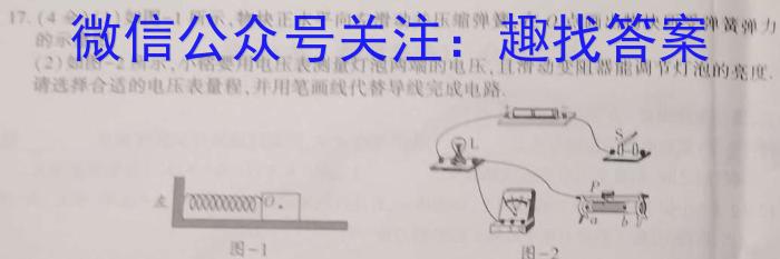 陕西省2023年九年级教学质量检测A（黑色◇）物理`