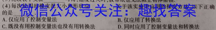 安徽省2022-2023学年八年级下学期期末综合评估（8LR-AH）.物理