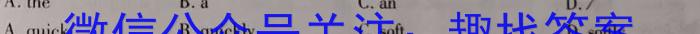 2023年2025届普通高等学校招生全国统一考试 青桐鸣高一联考(6月)英语